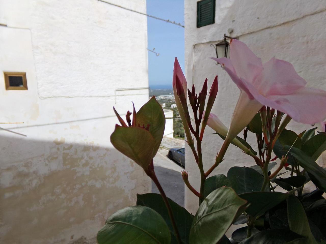 Le Tre Volte Villa Ostuni Eksteriør billede